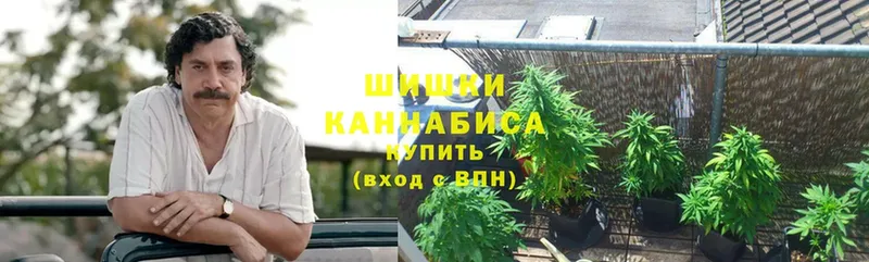 mega рабочий сайт  Кизилюрт  Каннабис OG Kush 